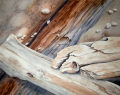 Driftwood 2, from the Gaps & Edges Series by Pat Stanley