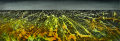 Event Horizon West, acrylic on canvas, 12" x 36", 2011