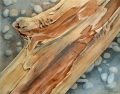 Driftwood 3, from the Gaps & Edges Series by Pat Stanley