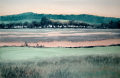 Ile Calumet, from the Infinite Nature Series by Pat Stanley