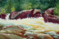 Rapids, from the Infinite Nature Series by Pat Stanley