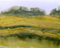 Cornfield, from the Infinite Nature Series by Pat Stanley